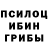 ГЕРОИН хмурый Nicolai T