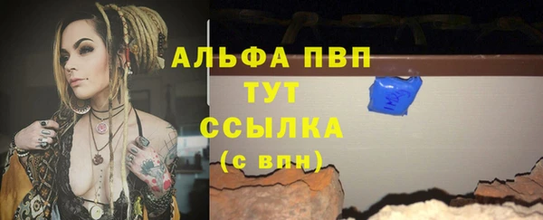 прущие крисы Кулебаки